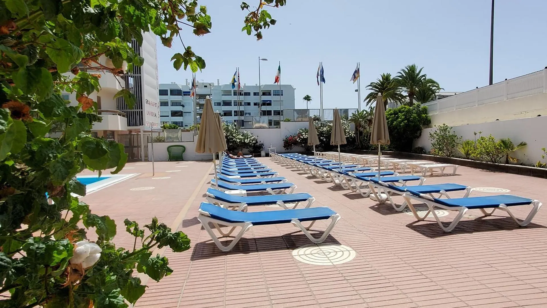 Las Camelias Apartments V14 Maspalomas  0*, Maspalomas (Gran Canaria) Španělsko