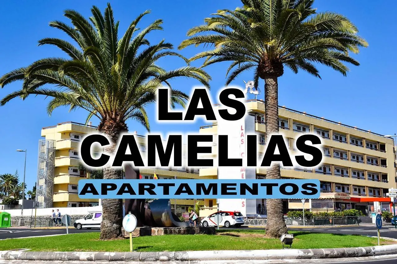 Las Camelias Apartments V14 Maspalomas