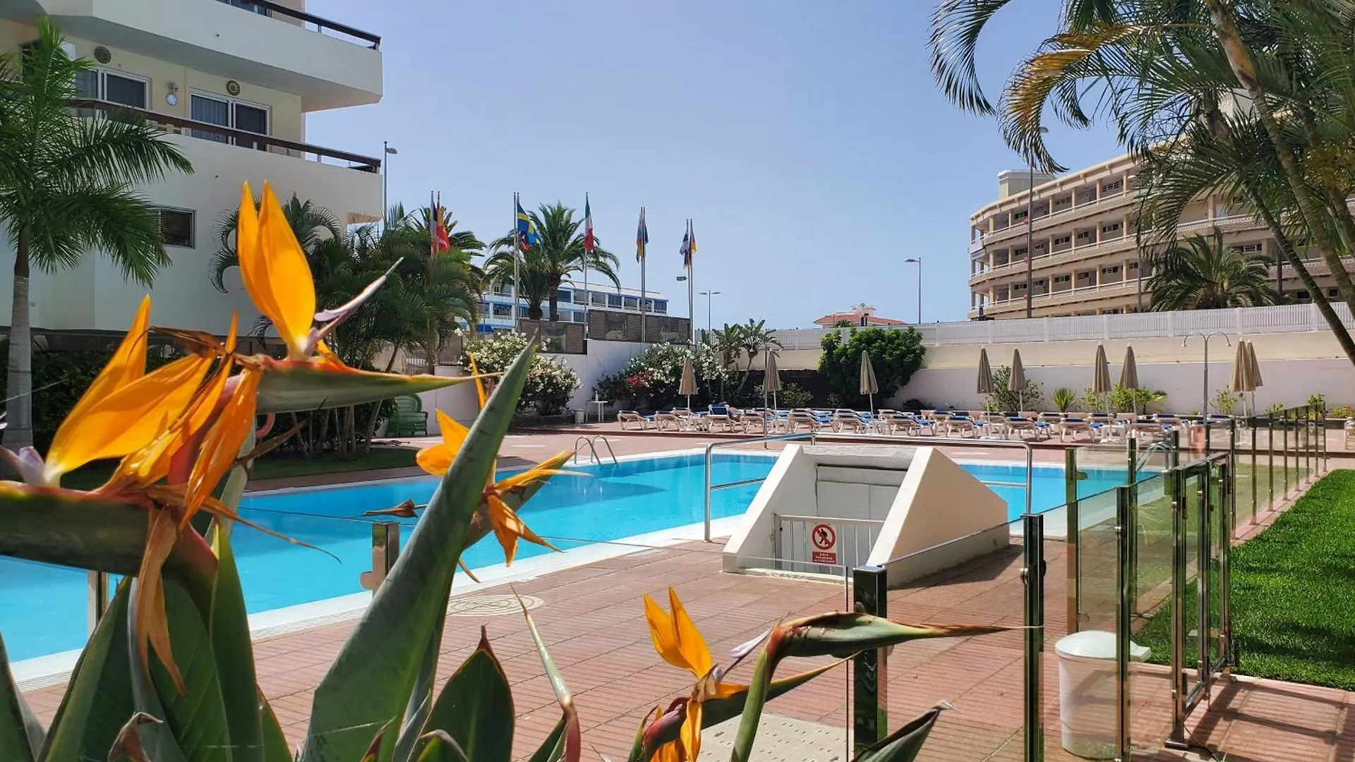Las Camelias Apartments V14 Maspalomas  Maspalomas (Gran Canaria)